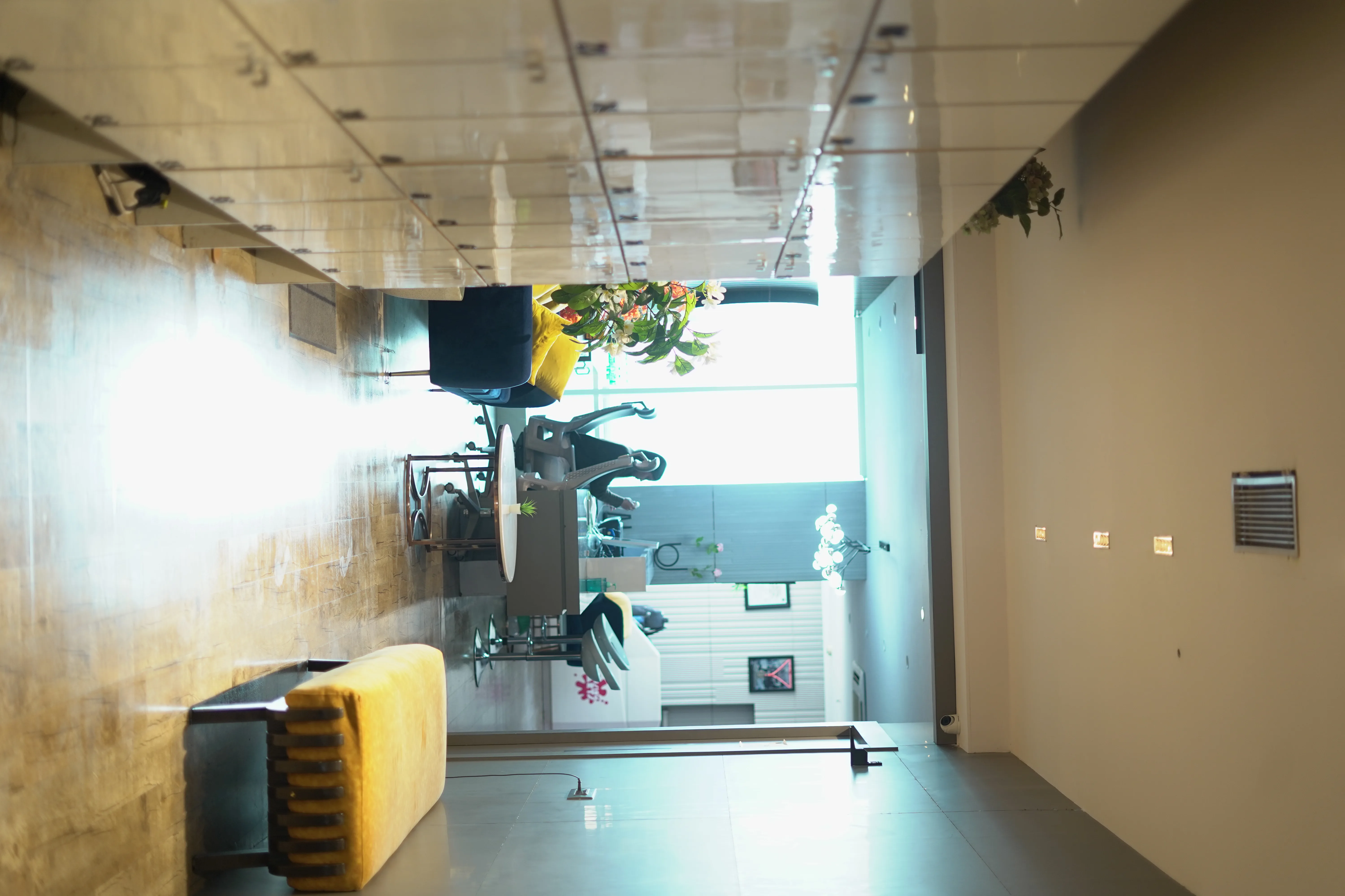 Kenzo Fitness strength