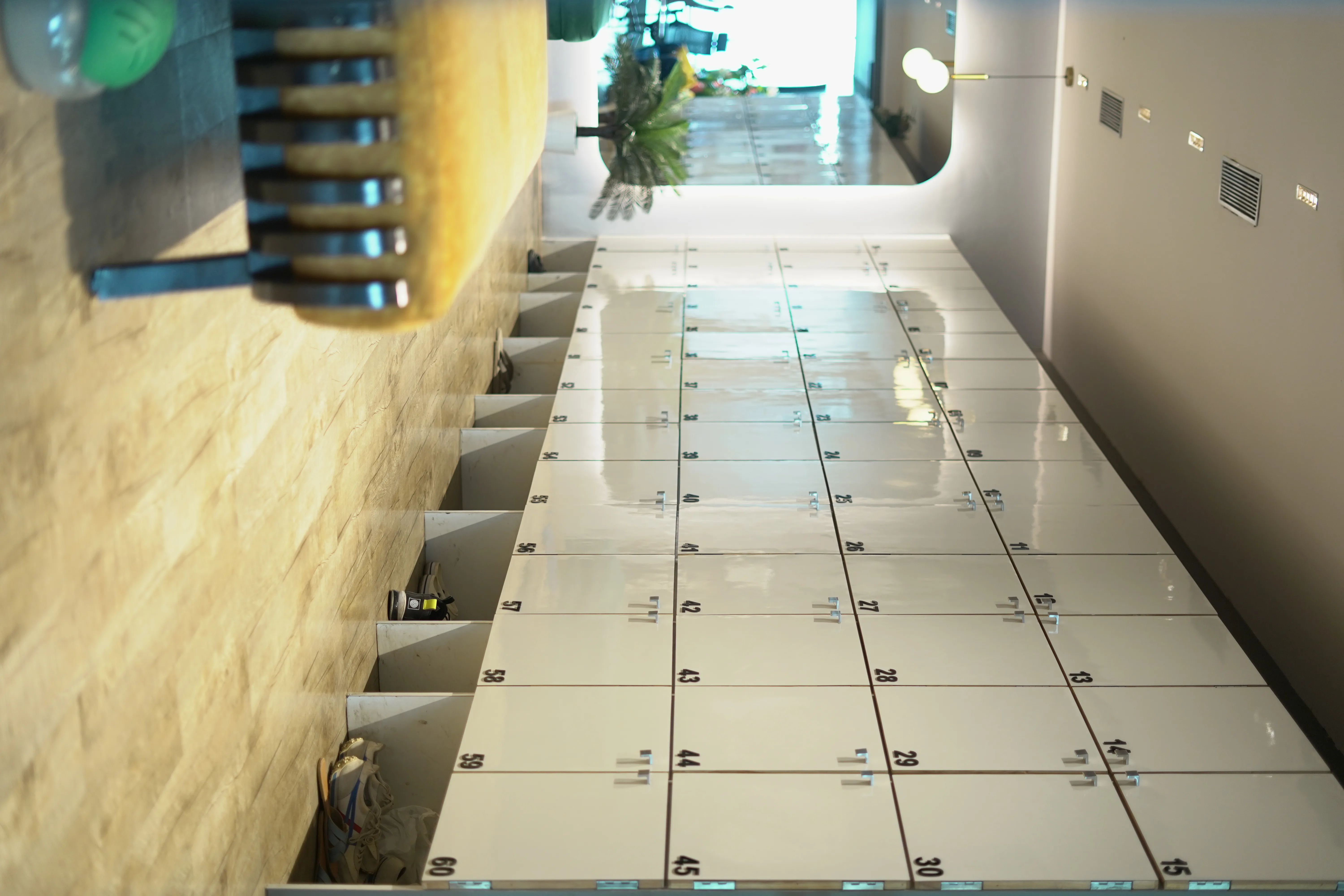 Kenzo Fitness cardio