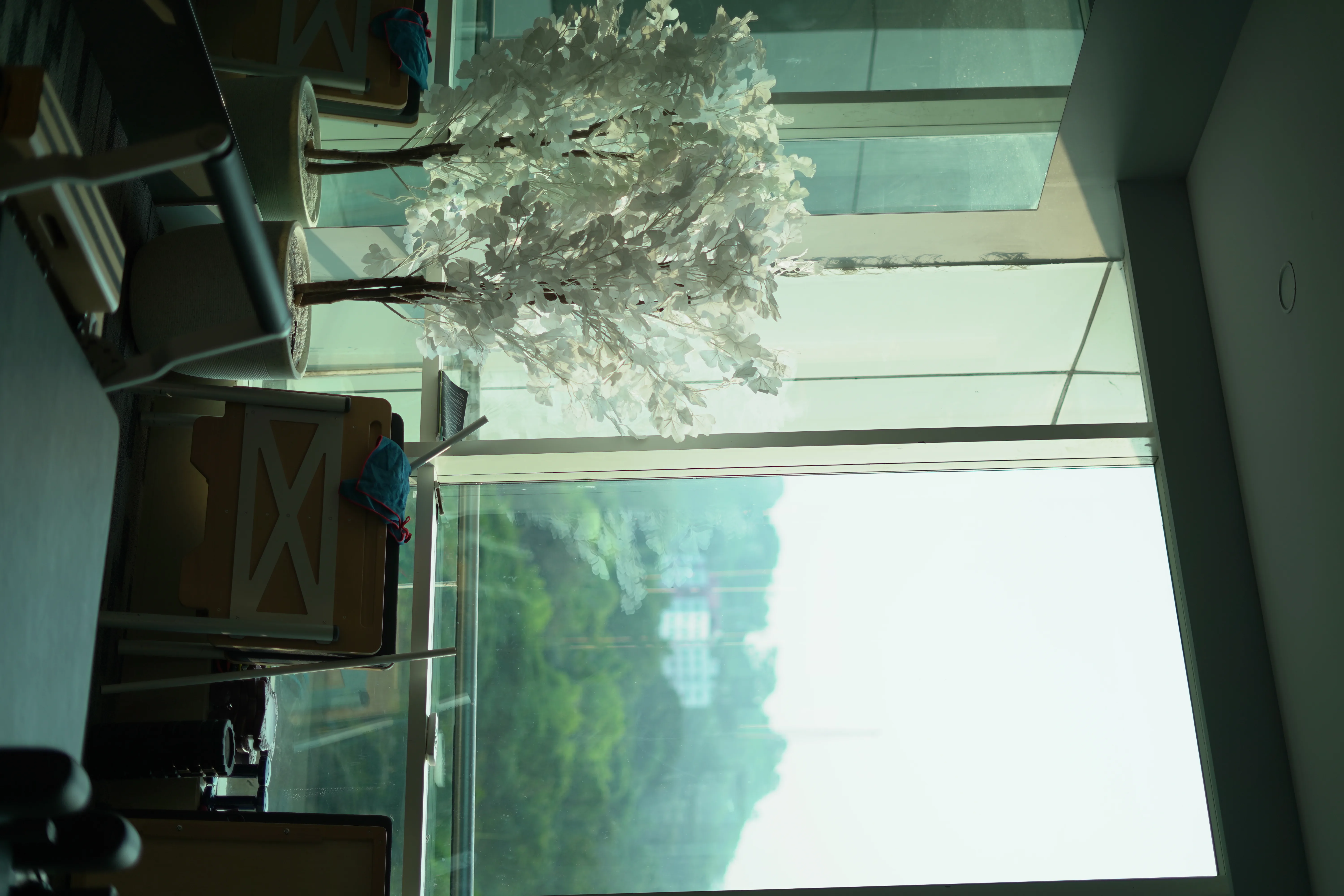 Kenzo Fitness classes